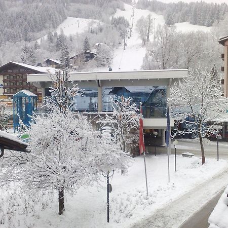 Haus Kleineisen By Chatel Reizen Zell am See Eksteriør billede